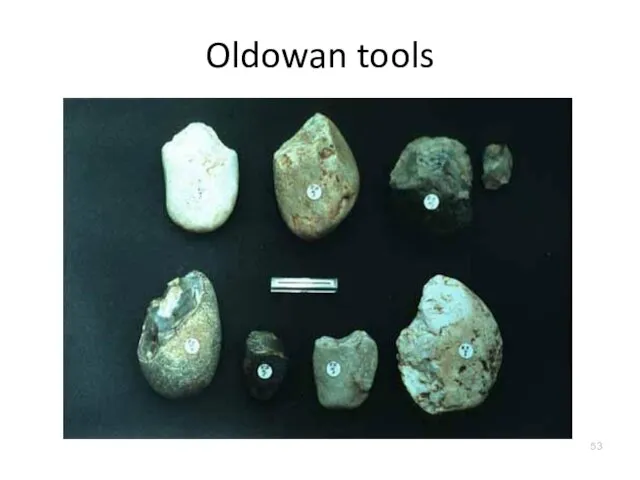 Oldowan tools