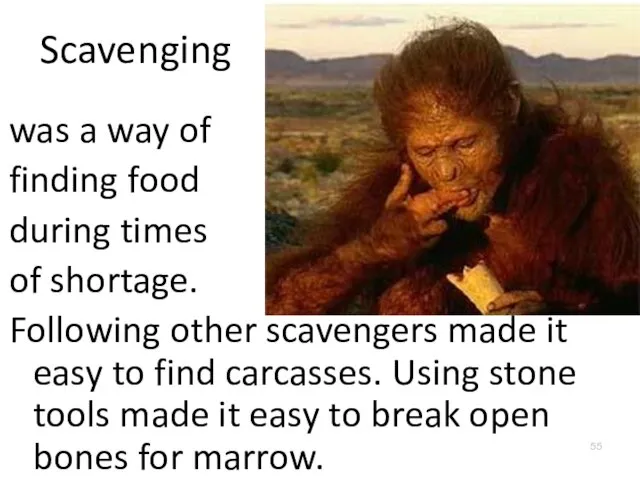 Scavenging was a way of finding food during times of shortage.