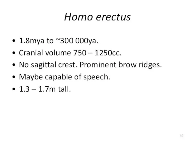 Homo erectus 1.8mya to ~300 000ya. Cranial volume 750 – 1250cc.