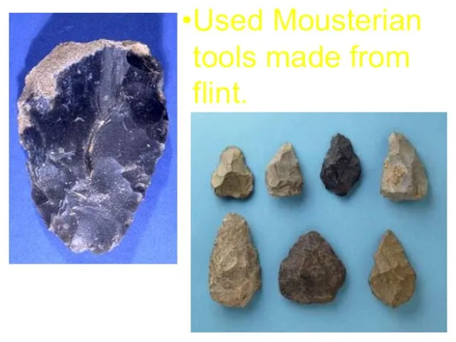 Used Mousterian tools made from flint.