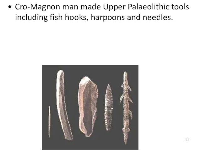 Cro-Magnon man made Upper Palaeolithic tools including fish hooks, harpoons and needles.