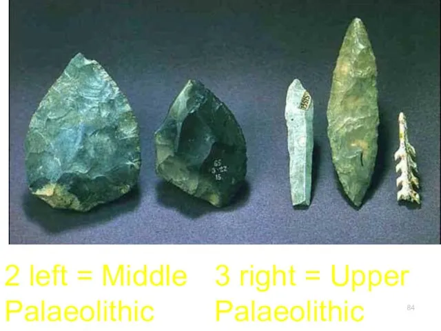 2 left = Middle Palaeolithic 3 right = Upper Palaeolithic