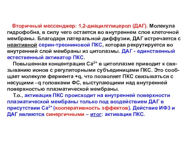 Вторичный мессенджер: 1,2-диацилглицерол (ДАГ). Молекула гидрофобна, в силу чего остается во