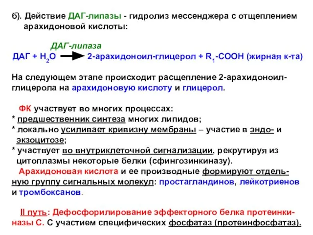 б). Действие ДАГ-липазы - гидролиз мессенджера с отщеплением арахидоновой кислоты: ДАГ-липаза