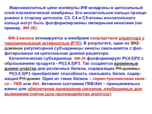 Жирнокислотные цепи молекулы ИФ внедрены в цитозольный слой плазматической мембраны. Его