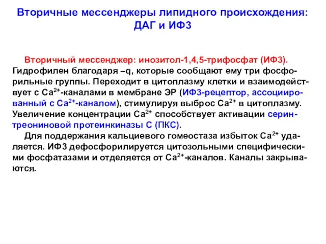 Вторичные мессенджеры липидного происхождения: ДАГ и ИФ3 Вторичный мессенджер: инозитол-1,4,5-трифосфат (ИФ3).