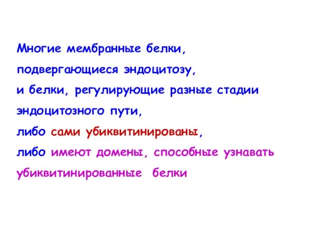 Многие мембранные белки, подвергающиеся эндоцитозу, и белки, регулирующие разные стадии эндоцитозного