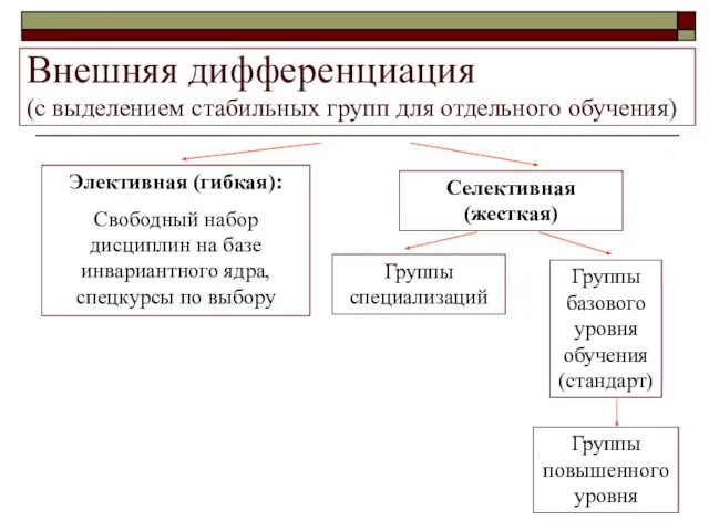 Внешняя дифференциация (с выделением стабильных групп для отдельного обучения) Элективная (гибкая):