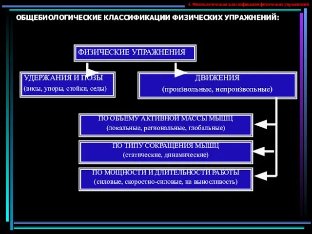 ОБЩЕБИОЛОГИЧЕСКИЕ КЛАССИФИКАЦИИ ФИЗИЧЕСКИХ УПРАЖНЕНИЙ: ФИЗИЧЕСКИЕ УПРАЖНЕНИЯ УДЕРЖАНИЯ И ПОЗЫ (висы, упоры,