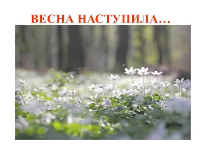 ВЕСНА НАСТУПИЛА…