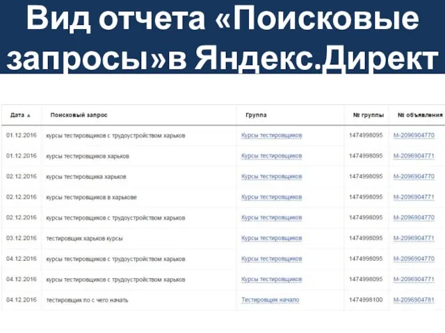 Вид отчета «Поисковые запросы»в Яндекс.Директ