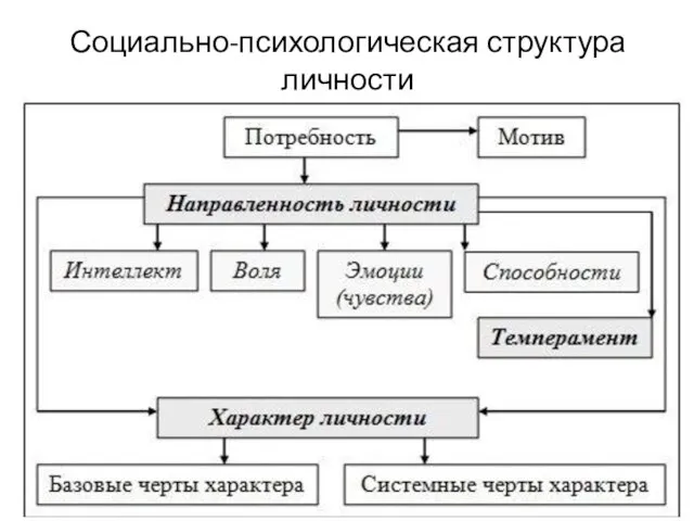 Социально-психологическая структура личности