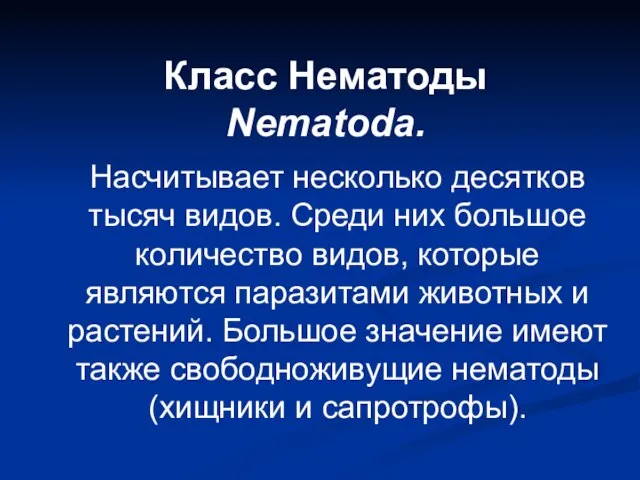 Класс Нематоды Nematoda. Насчитывает несколько десятков тысяч видов. Среди них большое