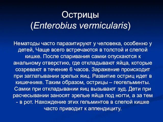 Острицы (Enterobius vermicularis) Нематоды часто паразитируют у человека, особенно у детей,