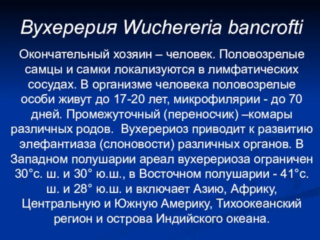 Вухерерия Wuchereria bancrofti Окончательный хозяин – человек. Половозрелые самцы и самки