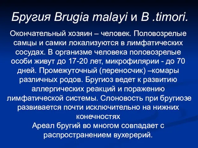 Бругия Brugia malayi и B .timori. Окончательный хозяин – человек. Половозрелые