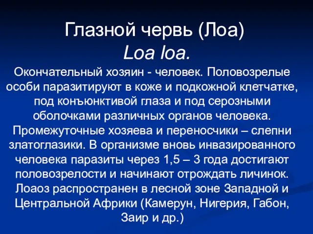 Глазной червь (Лоа) Loa loa. Окончательный хозяин - человек. Половозрелые особи