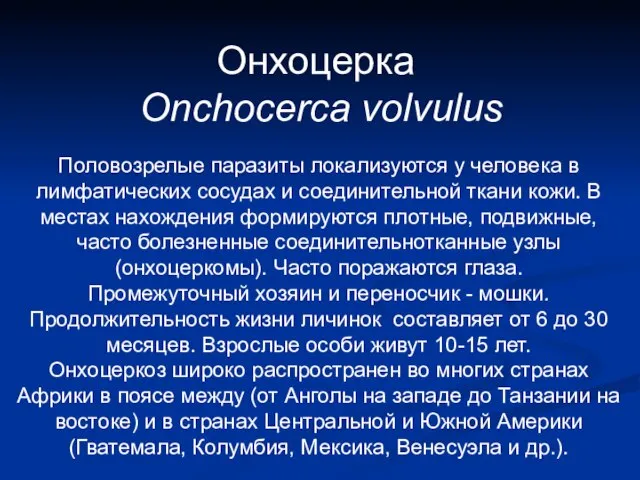 Онхоцерка Onchocerca volvulus Половозрелые паразиты локализуются у человека в лимфатических сосудах