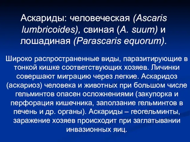 Аскариды: человеческая (Ascaris lumbricoides), свиная (A. suum) и лошадиная (Parascaris equorum).