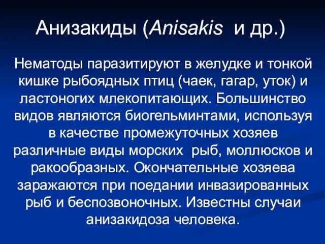 Анизакиды (Anisakis и др.) Нематоды паразитируют в желудке и тонкой кишке