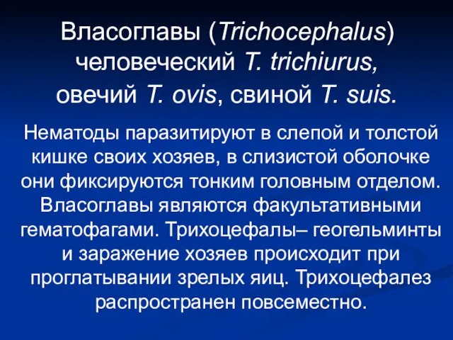 Власоглавы (Trichocephalus) человеческий T. trichiurus, овечий T. ovis, свиной T. suis.