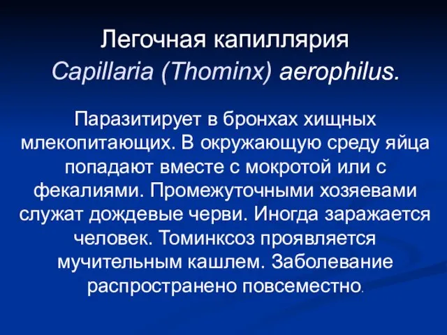 Легочная капиллярия Сapillaria (Thominx) aerophilus. Паразитирует в бронхах хищных млекопитающих. В