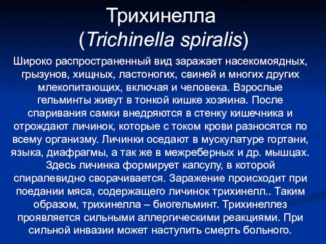 Трихинелла (Trichinella spiralis) Широко распространенный вид заражает насекомоядных, грызунов, хищных, ластоногих,