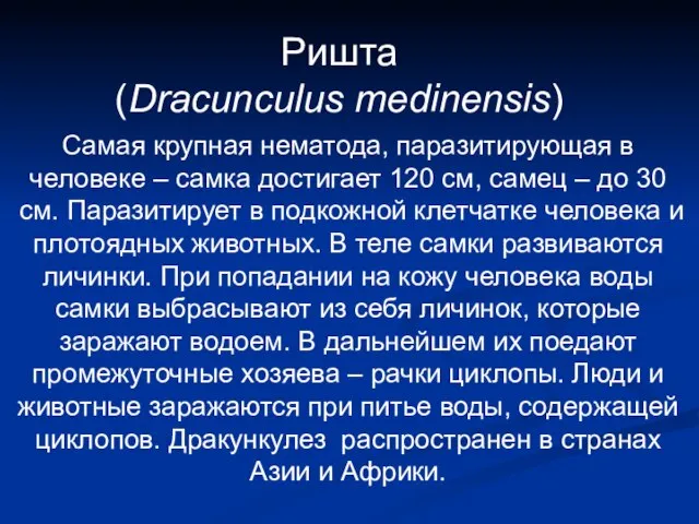 Ришта (Dracunculus medinensis) Самая крупная нематода, паразитирующая в человеке – самка