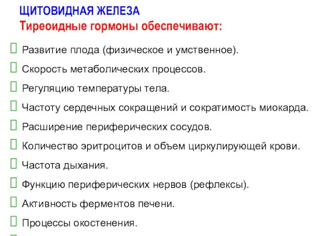 ЩИТОВИДНАЯ ЖЕЛЕЗА Тиреоидные гормоны обеспечивают: Развитие плода (физическое и умственное). Скорость