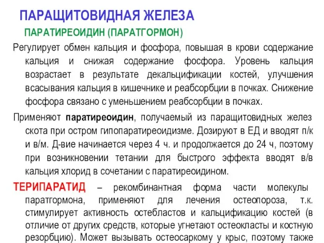 ПАРАЩИТОВИДНАЯ ЖЕЛЕЗА ПАРАТИРЕОИДИН (ПАРАТГОРМОН) Регулирует обмен кальция и фосфора, повышая в