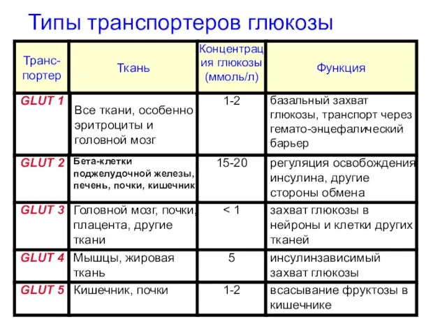 Транс- портер Ткань Концентрация глюкозы (ммоль/л) Функция GLUT 1 Все ткани,