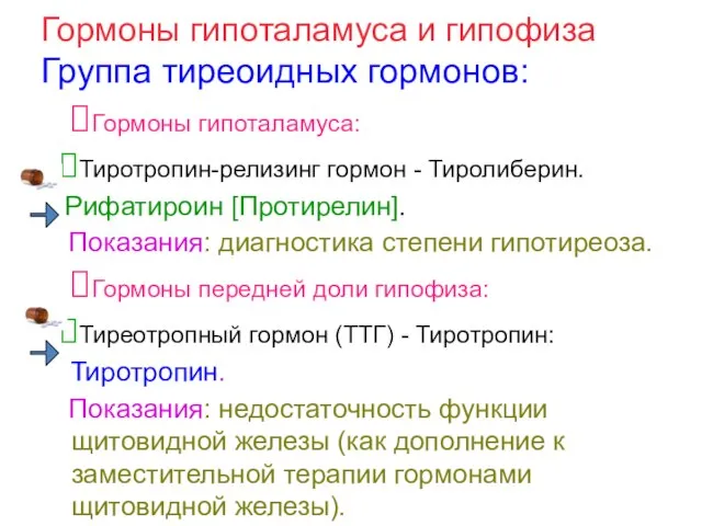 Гормоны гипоталамуса и гипофиза Группа тиреоидных гормонов: Гормоны гипоталамуса: Тиротропин-релизинг гормон