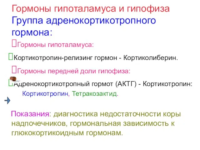 Гормоны гипоталамуса и гипофиза Группа адренокортикотропного гормона: Гормоны гипоталамуса: Кортикотропин-релизинг гормон