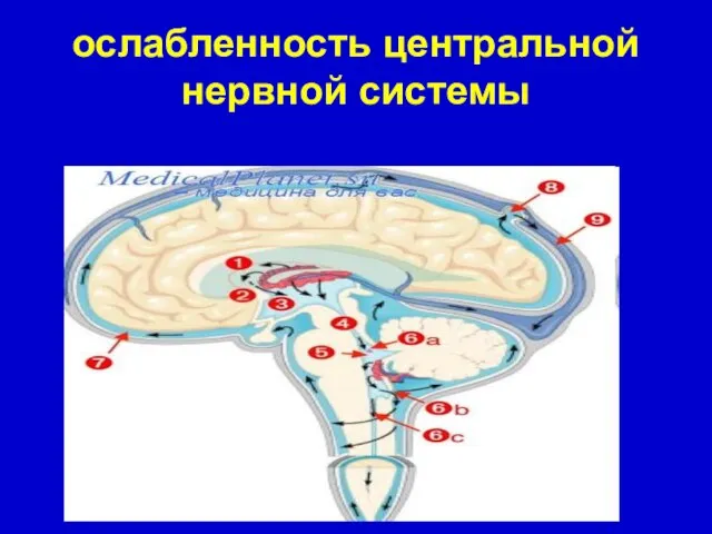 ослабленность центральной нервной системы