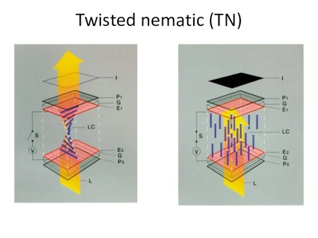 Twisted nematic (TN)