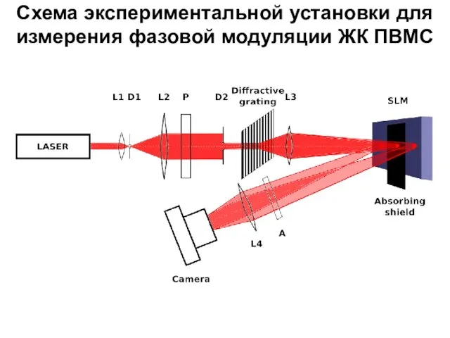 Схема экспериментальной установки для измерения фазовой модуляции ЖК ПВМС