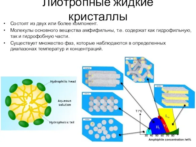 Лиотропные жидкие кристаллы Состоят из двух или более компонент. Молекулы основного