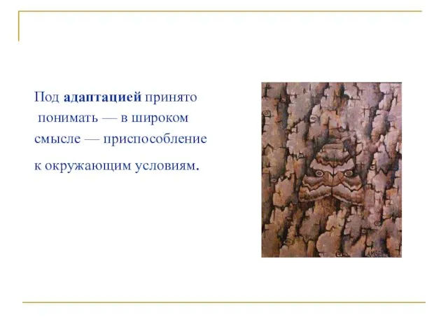 Под адаптацией принято понимать — в широком смысле — приспособление к окружающим условиям.