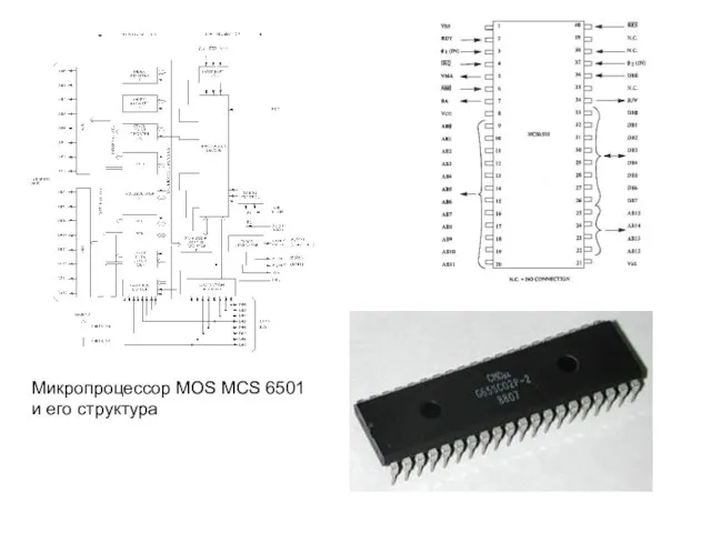 Микропроцессор MOS MCS 6501 и его структура