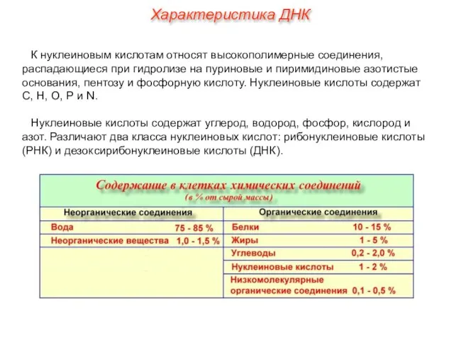 К нуклеиновым кислотам относят высокополимерные соединения, распадающиеся при гидролизе на пуриновые