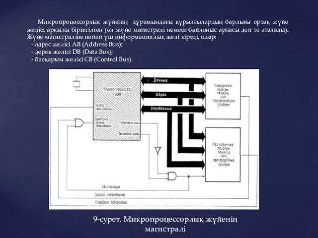 Микропроцессорлық жүйенің құрамындағы құрылғылардың барлығы ортақ жүйе желісі арқылы біріктілген (ол