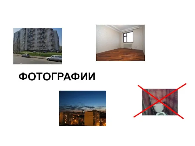 ФОТОГРАФИИ