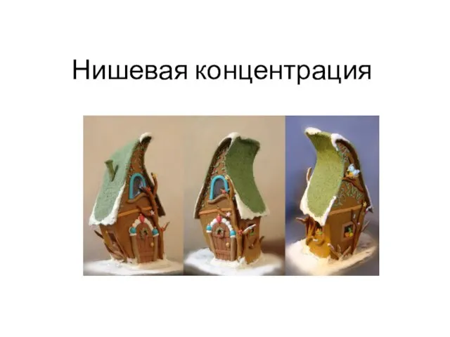 Нишевая концентрация