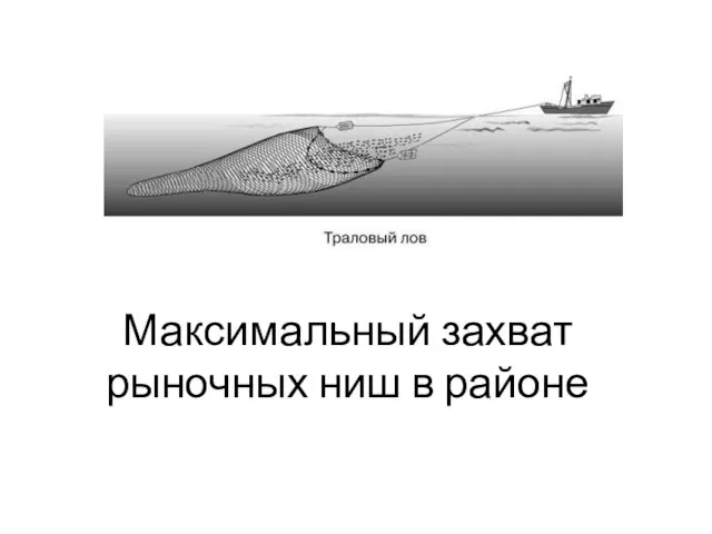 Максимальный захват рыночных ниш в районе