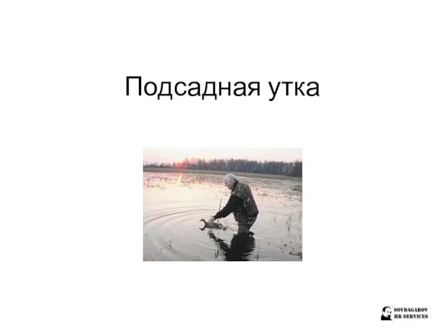 Подсадная утка