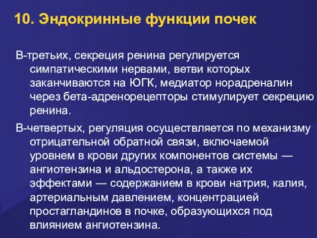 10. Эндокринные функции почек В-третьих, секреция ренина регулируется симпатическими нервами, ветви