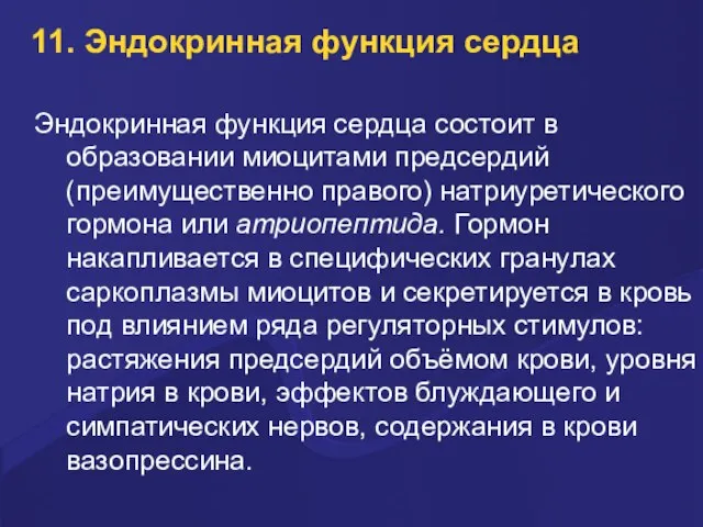 11. Эндокринная функция сердца Эндокринная функция сердца состоит в образовании миоцитами