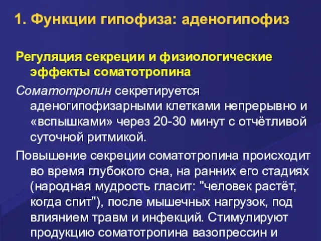 1. Функции гипофиза: аденогипофиз Регуляция секреции и физиологические эффекты соматотропина Соматотропин