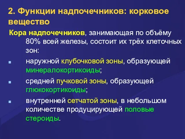 2. Функции надпочечников: корковое вещество Кора надпочечников, занимающая по объёму 80%