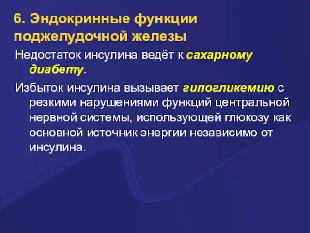 6. Эндокринные функции поджелудочной железы Недостаток инсулина ведёт к сахарному диабету.